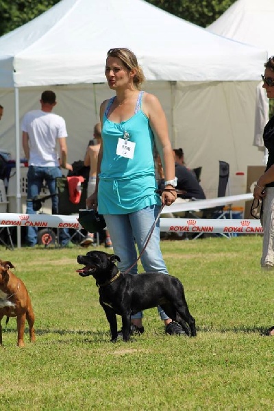 Rahzel's stars Indracadabra - Excellent NC classe Jeune femelle