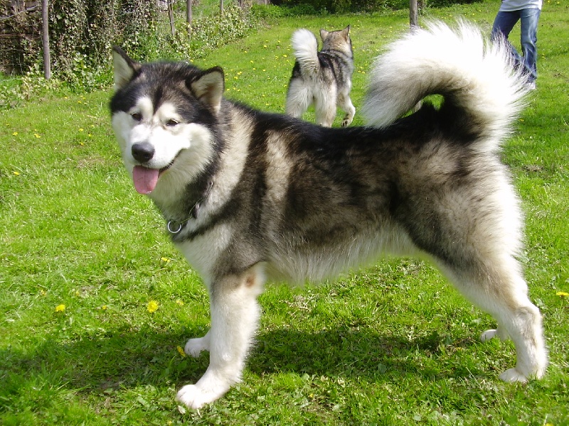 Publication : of Blue Track Auteur : Jessica IRR