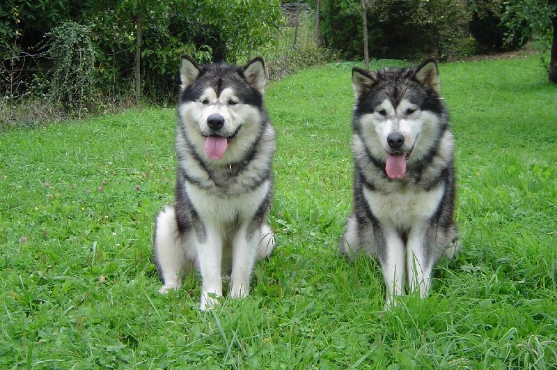 Publication : of Blue Track Auteur : Jessica IRR