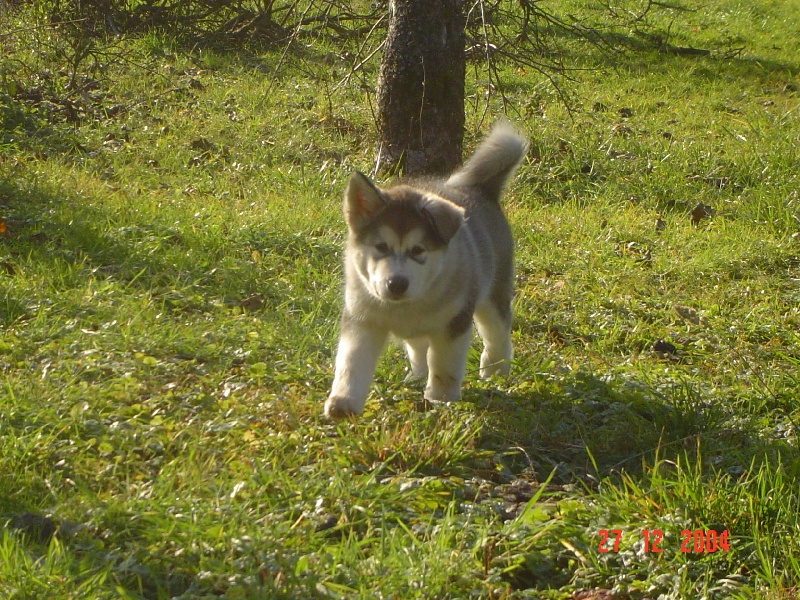 Publication : of Blue Track Auteur : Jessica IRR