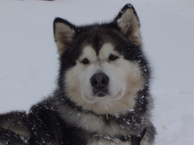 Publication : of Blue Track Auteur : Jessica IRR