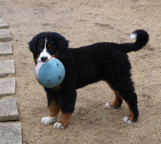 Guinan de la Lumière d'Eden