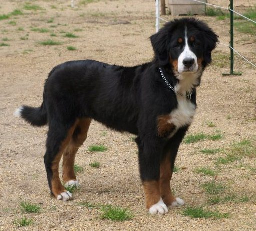 Guinan de la Lumière d'Eden