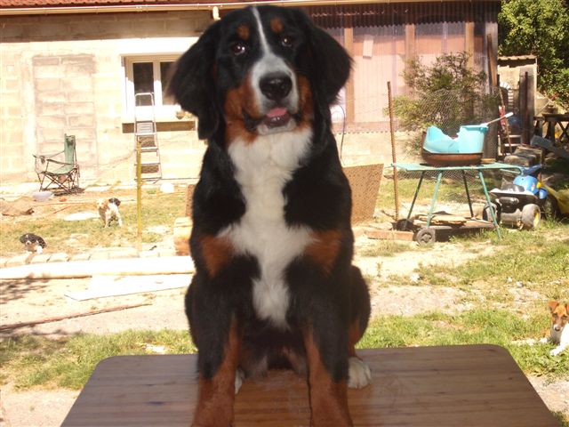 Elanka de la Lumière d'Eden