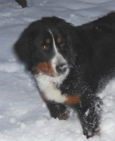 Elanka de la Lumière d'Eden