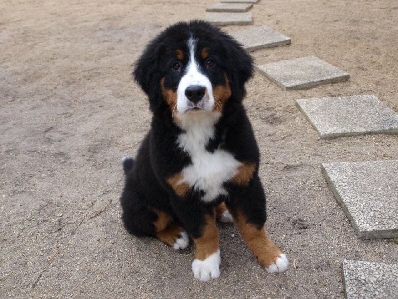 Guinan de la Lumière d'Eden