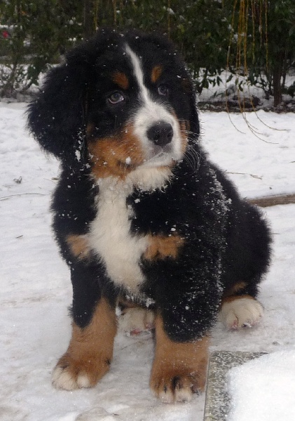 Elanka de la Lumière d'Eden