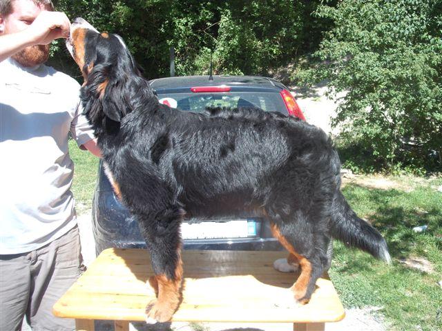 Elanka de la Lumière d'Eden