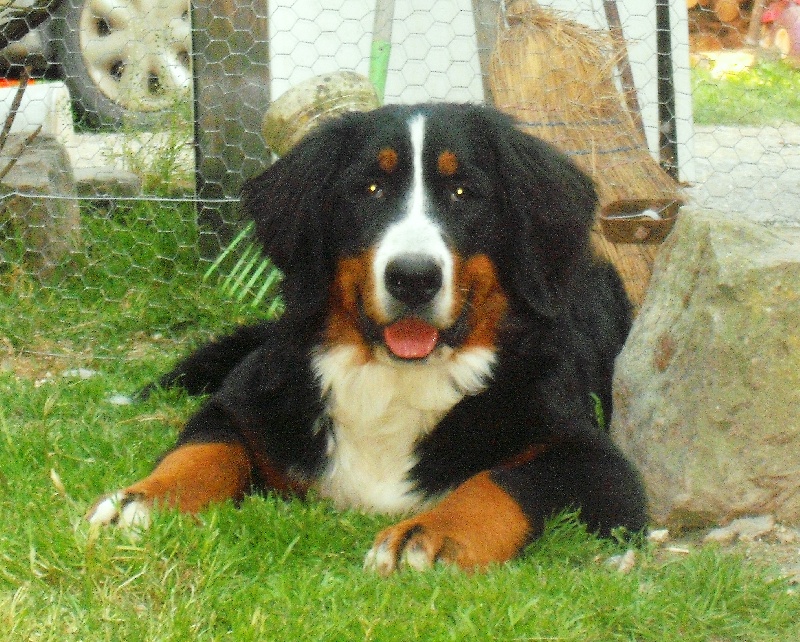 Elanka de la Lumière d'Eden