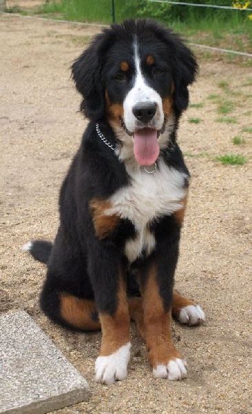 Guinan de la Lumière d'Eden