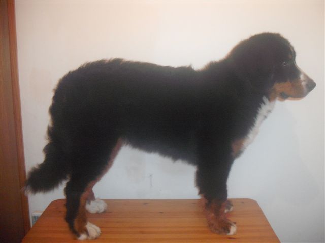 Elanka de la Lumière d'Eden