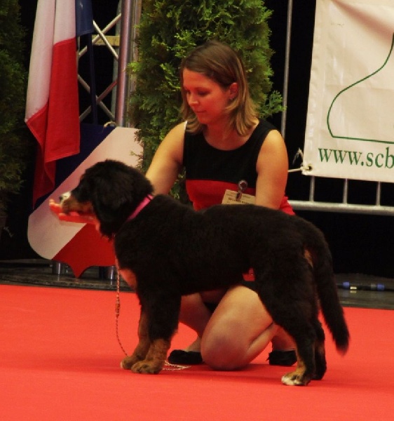 Lucky charm de la Lumière d'Eden - Très Prometteur en classe baby - meilleur baby