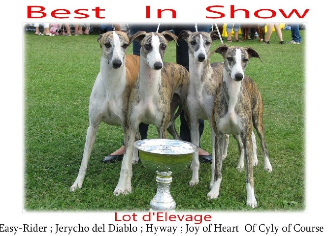 of Cyly of Course - Deux Best in Show !!! :)