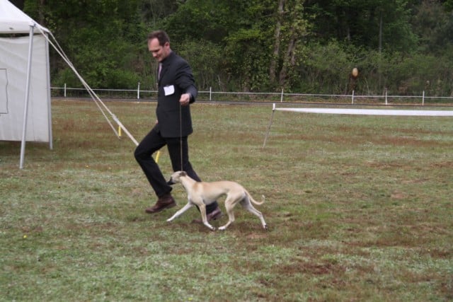 Publication : of Cyly of Course Auteur : Sgd