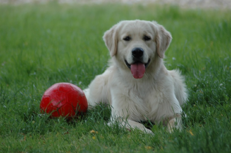 Publication : Masters of Water Auteur : Masters of Water