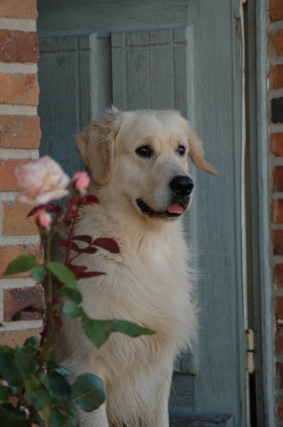 Publication : Masters of Water Auteur : Masters of Water