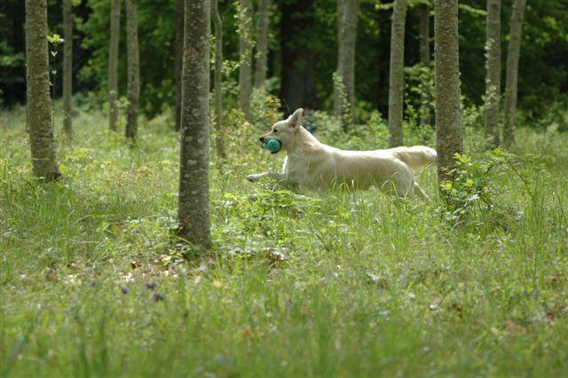 Publication : Masters of Water Auteur : Masters of Water