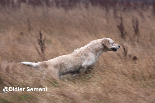 Publication : Masters of Water Auteur : Masters of Water