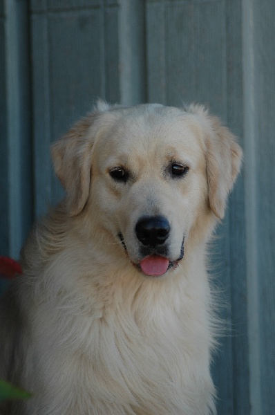 Publication : Masters of Water Auteur : Masters of Water