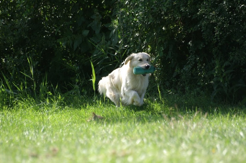 Publication : Masters of Water Auteur : Masters of Water