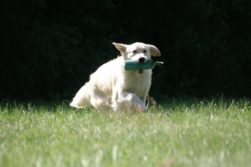 Publication : Masters of Water Auteur : Masters of Water