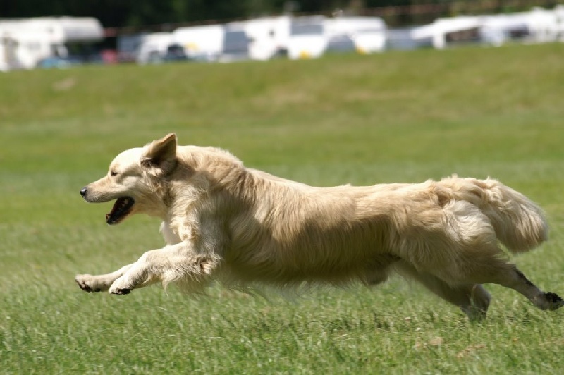 Publication : Masters of Water Auteur : Masters of Water