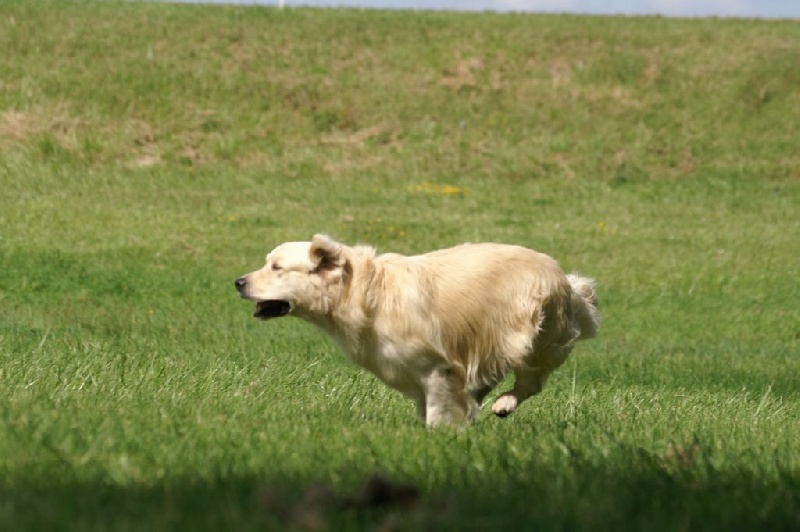 Publication : Masters of Water Auteur : Masters of Water