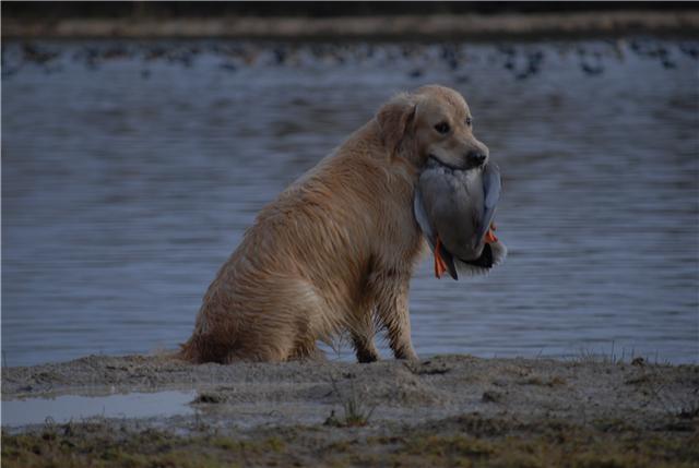 Publication : Masters of Water Auteur : Masters of Water