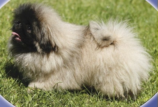 Publication : de l'antre du dragon