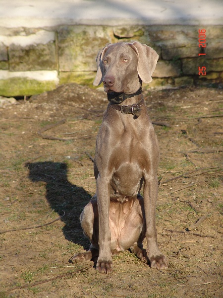 Publication : des plaines de Montansou Auteur : BATAILLE Christelle