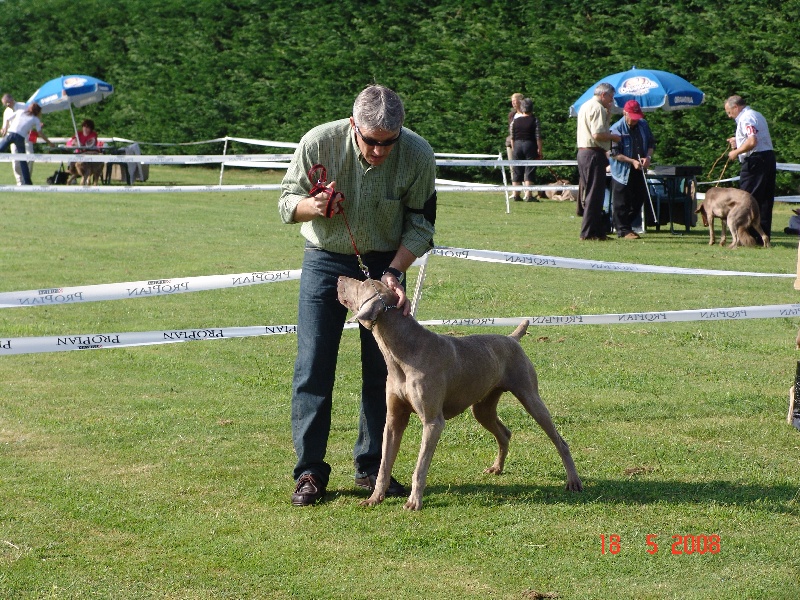 Publication : des plaines de Montansou Auteur : Lequime Eleonore