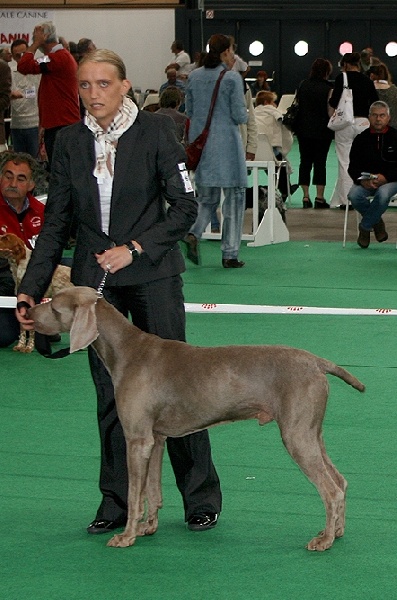 Publication : des plaines de Montansou Auteur : Lequime Eleonore