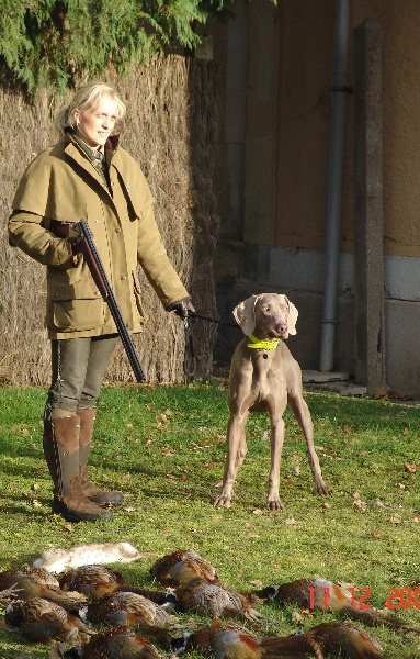 Publication : des plaines de Montansou Auteur : Lequime Eleonore