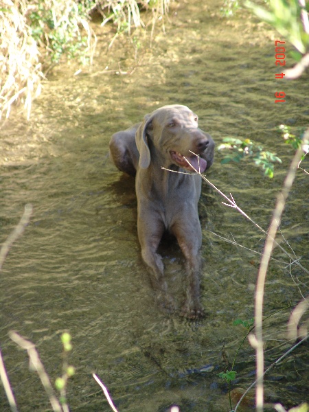 Publication : des plaines de Montansou Auteur : Lequime Eleonore