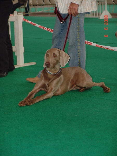 Publication : des plaines de Montansou Auteur : BATAILLE Christelle