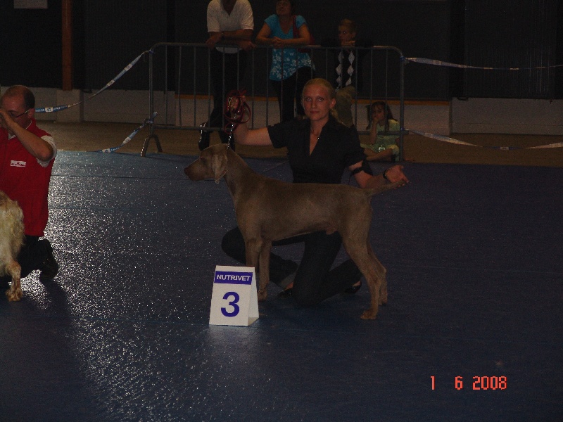 Publication : des plaines de Montansou Auteur : Lequime Eleonore