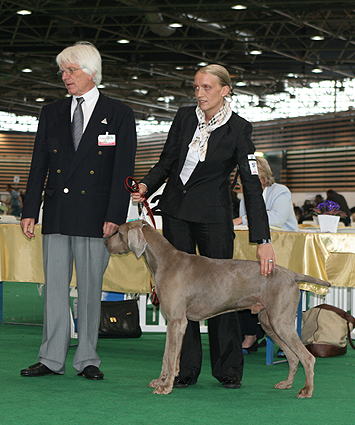 Publication : des plaines de Montansou Auteur : Lequime Eleonore