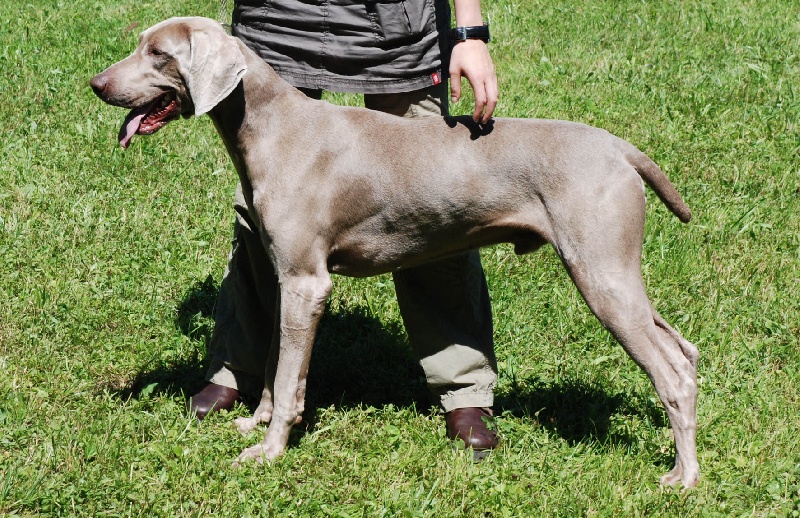 Publication : des plaines de Montansou Auteur : Lequime Eleonore