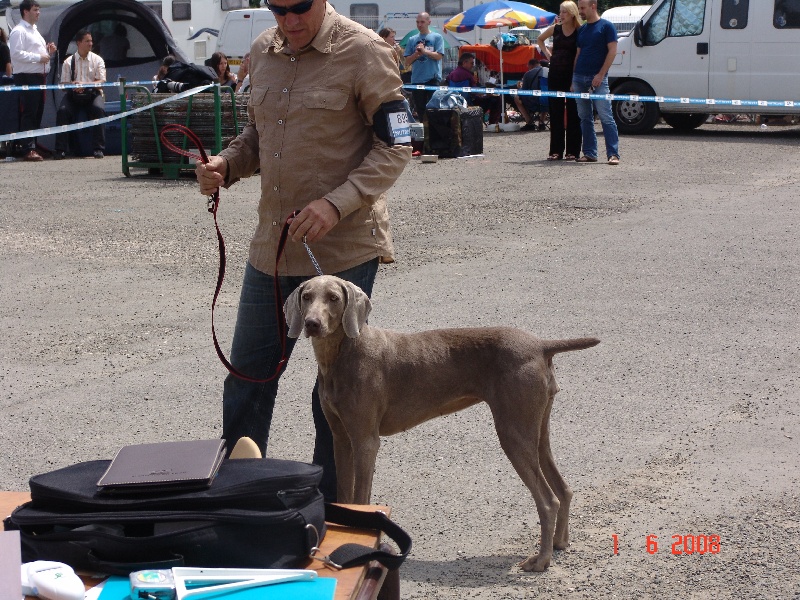 Publication : des plaines de Montansou Auteur : BATAILLE Christelle