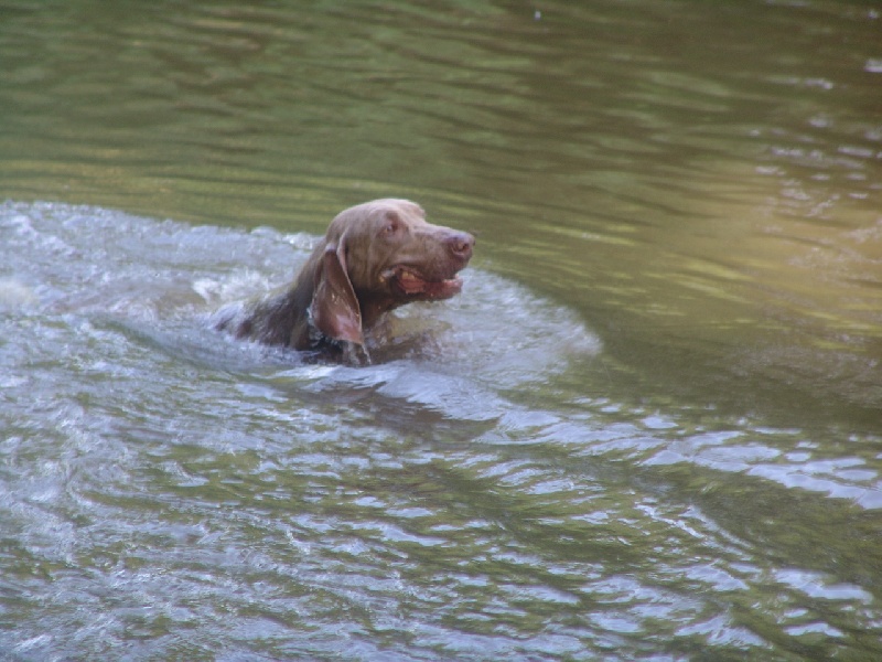 Publication : des plaines de Montansou Auteur : Lequime Eleonore