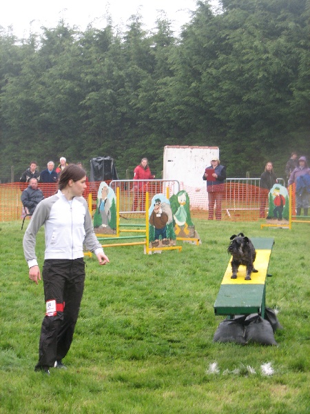 Asterix-Dandy De la forêt de bouconne - vainqueur catégorie A