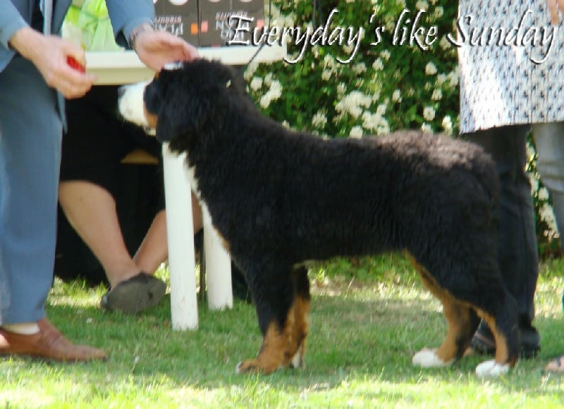 Kimberly von romanshof - Prometteur