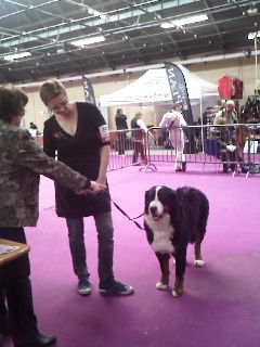 Kimberly von romanshof - Très bon Classe Jeune + Confirmation
