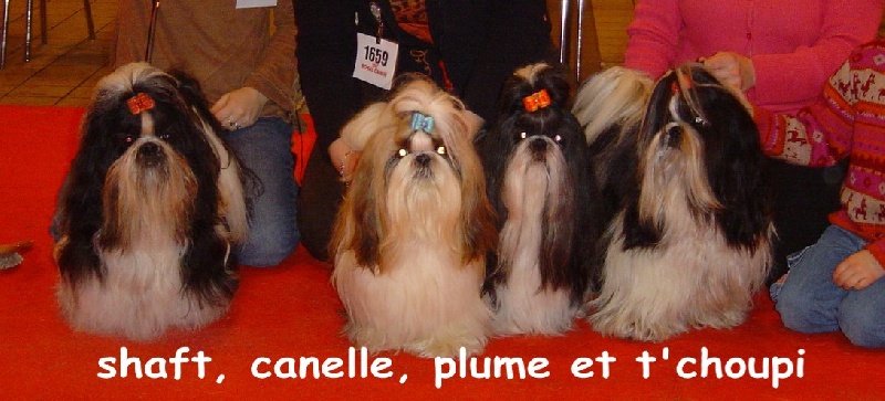 Unkass shaft Le palais de bhagavan