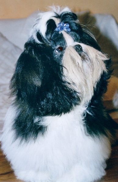 Unkass shaft Le palais de bhagavan