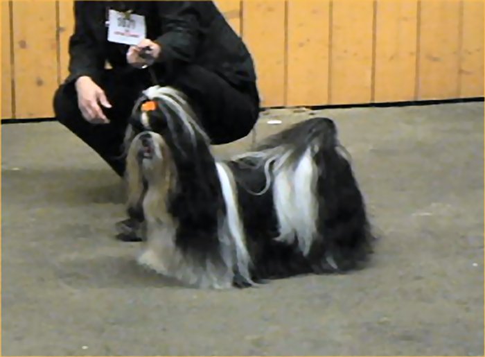 Unkass shaft Le palais de bhagavan