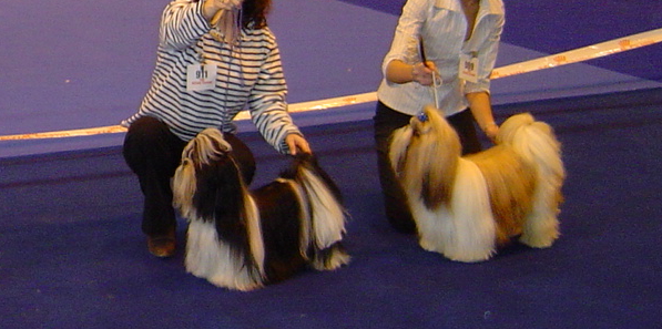 Unkass shaft Le palais de bhagavan