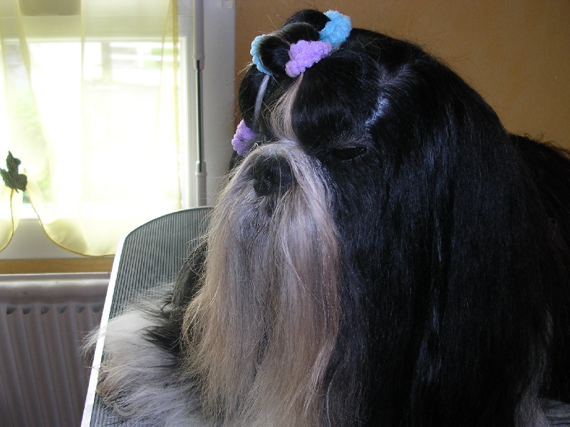 Unkass shaft Le palais de bhagavan