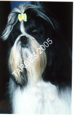 Unkass shaft Le palais de bhagavan