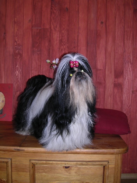 Unkass shaft Le palais de bhagavan